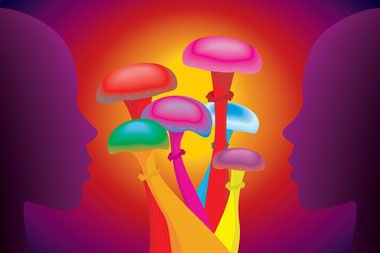 The law outlines the makings of a working group tasked with identifying psychedelic therapies that could help in reducing suicidal ideation in the treatment of PTSD, substance use disorder, major depressive disorder and psychological distress relating to end of life.